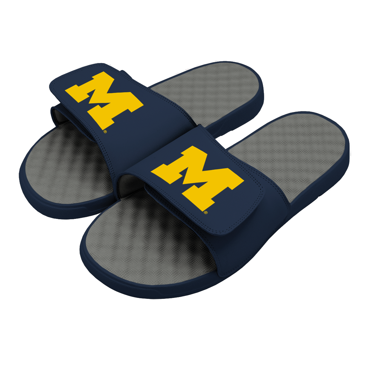 Michigan Primary Logo Slides