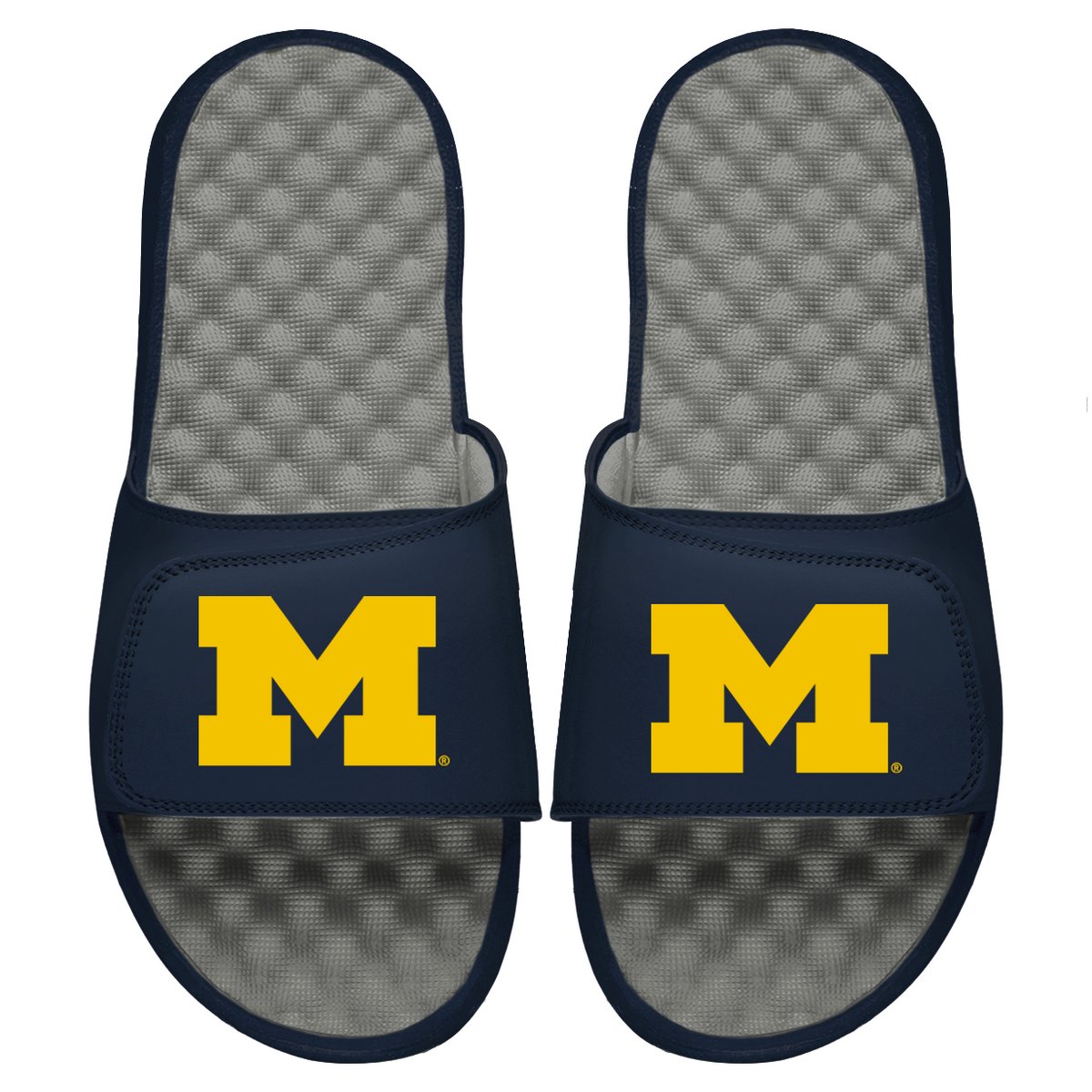 Michigan Primary Logo Slides