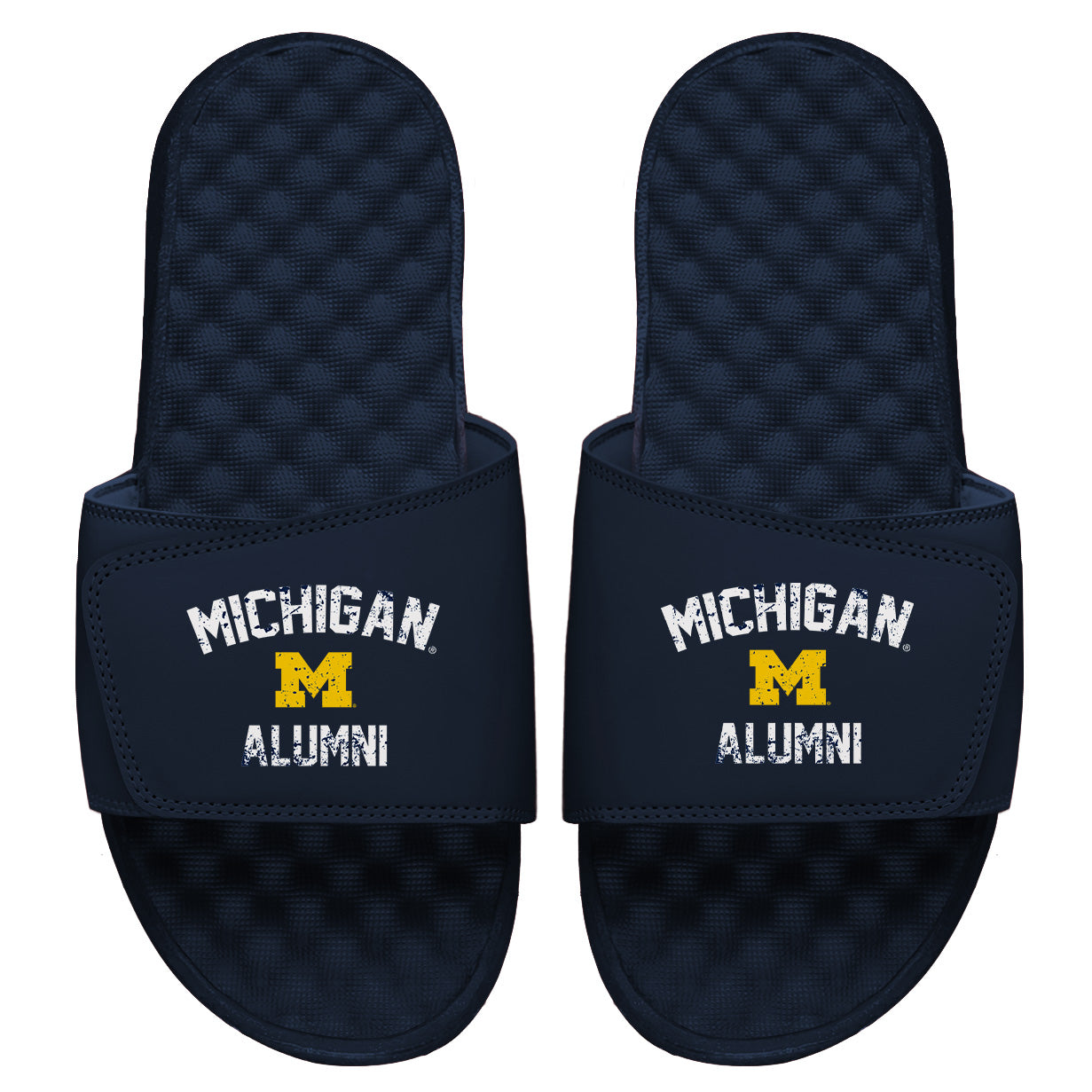 Michigan Alumni Slides