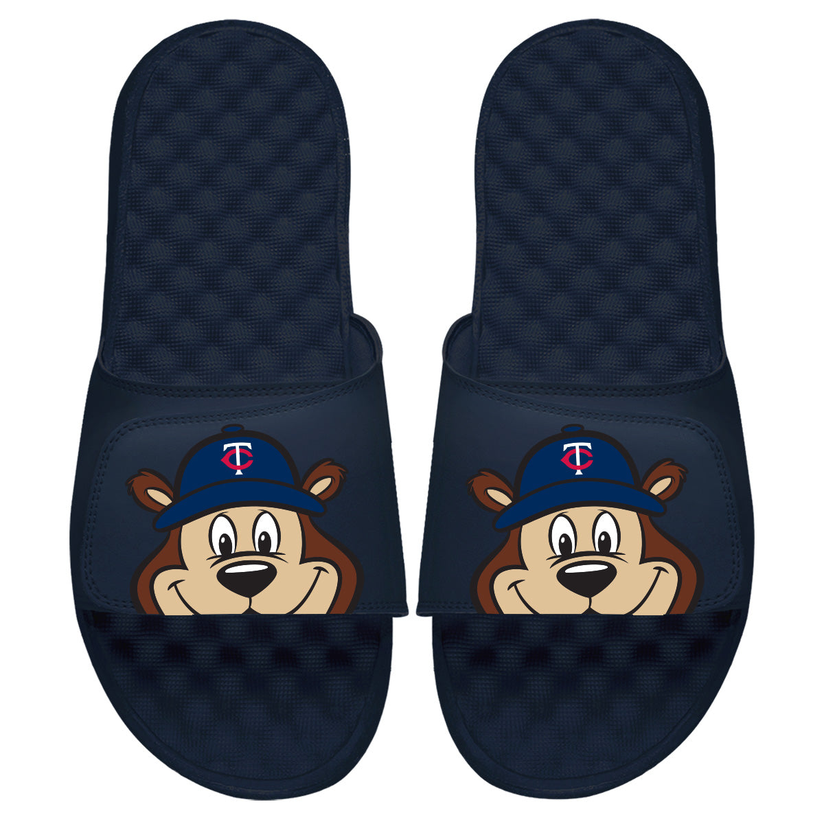 Minnesota Twins Mascot Slides