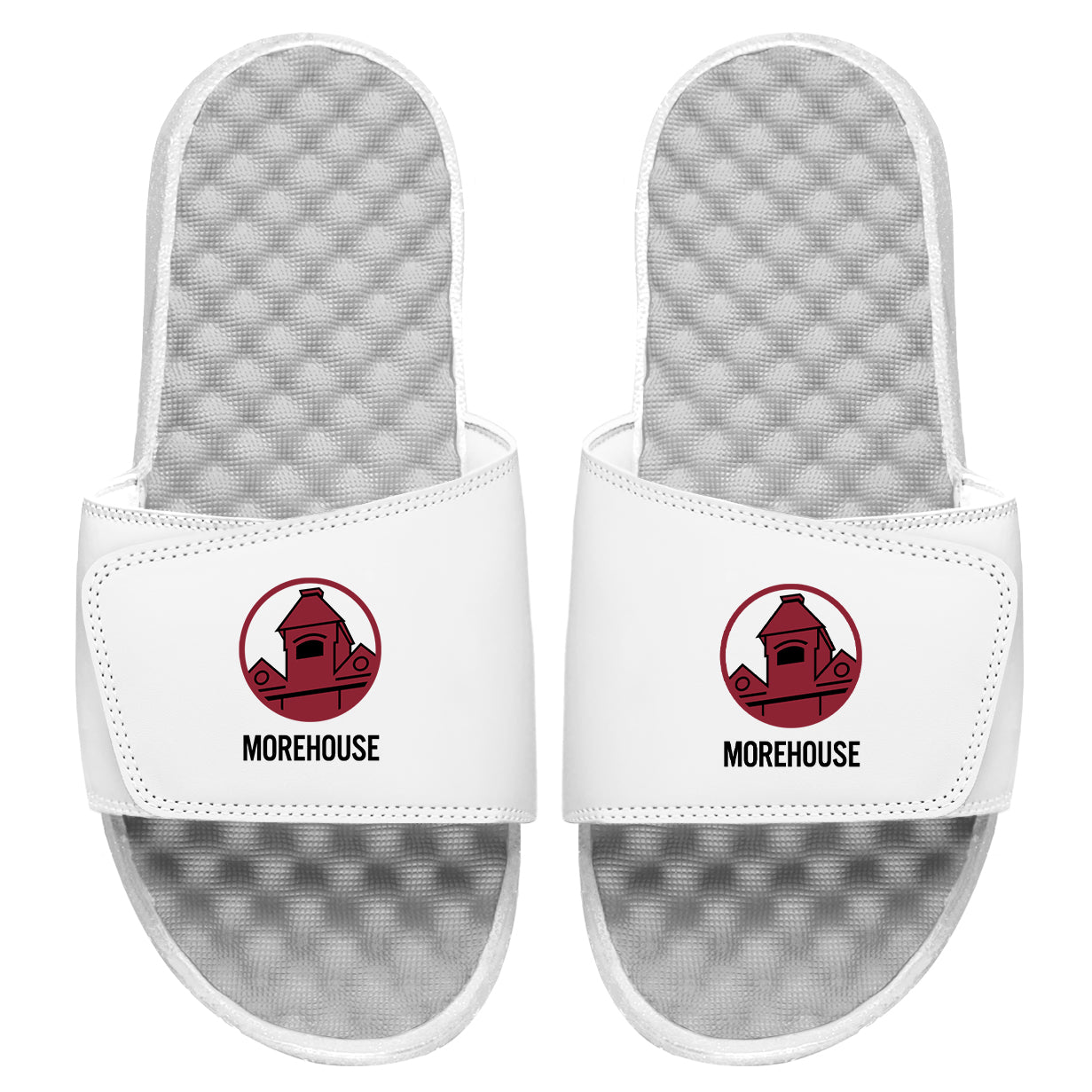 Morehouse Lighthouse Logo Slides