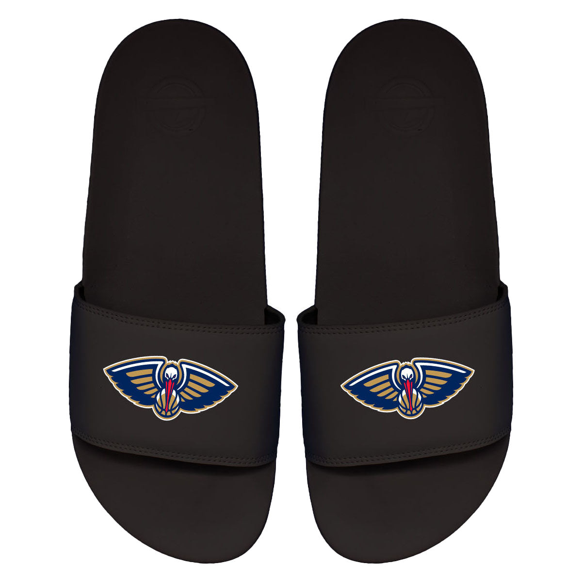 Pelicans Primary Motto Slides