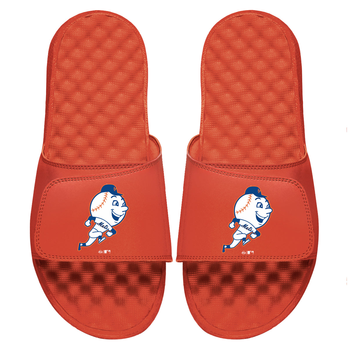 Mr Met Slides