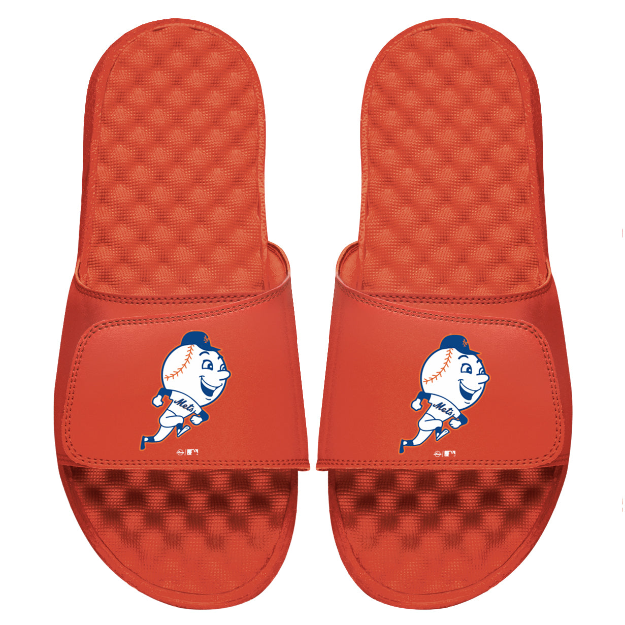 Mr Met Slides