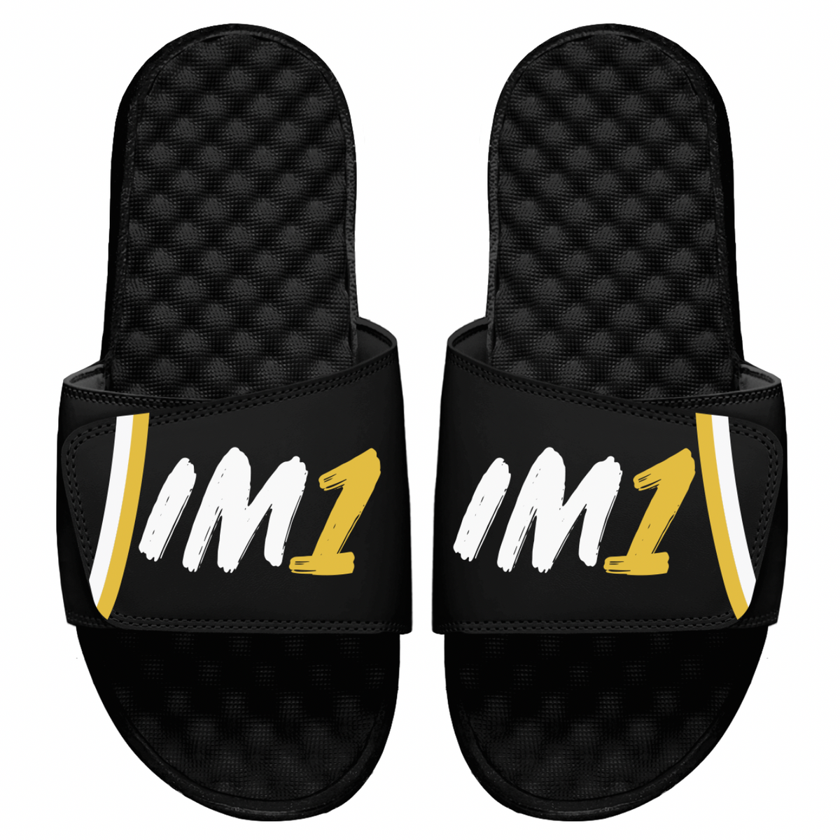 Isaiah Mucius IM1 Slides
