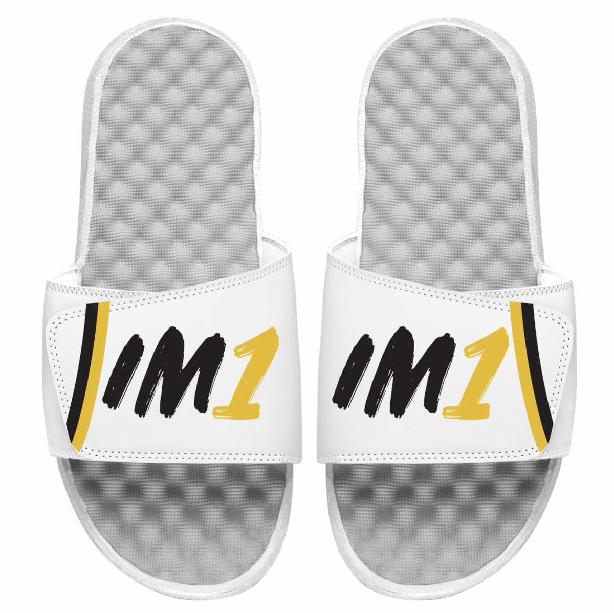 Isaiah Mucius IM1 Slides