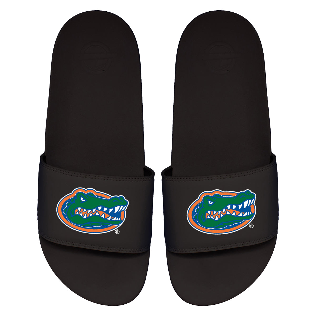 Florida Primary Motto Slides