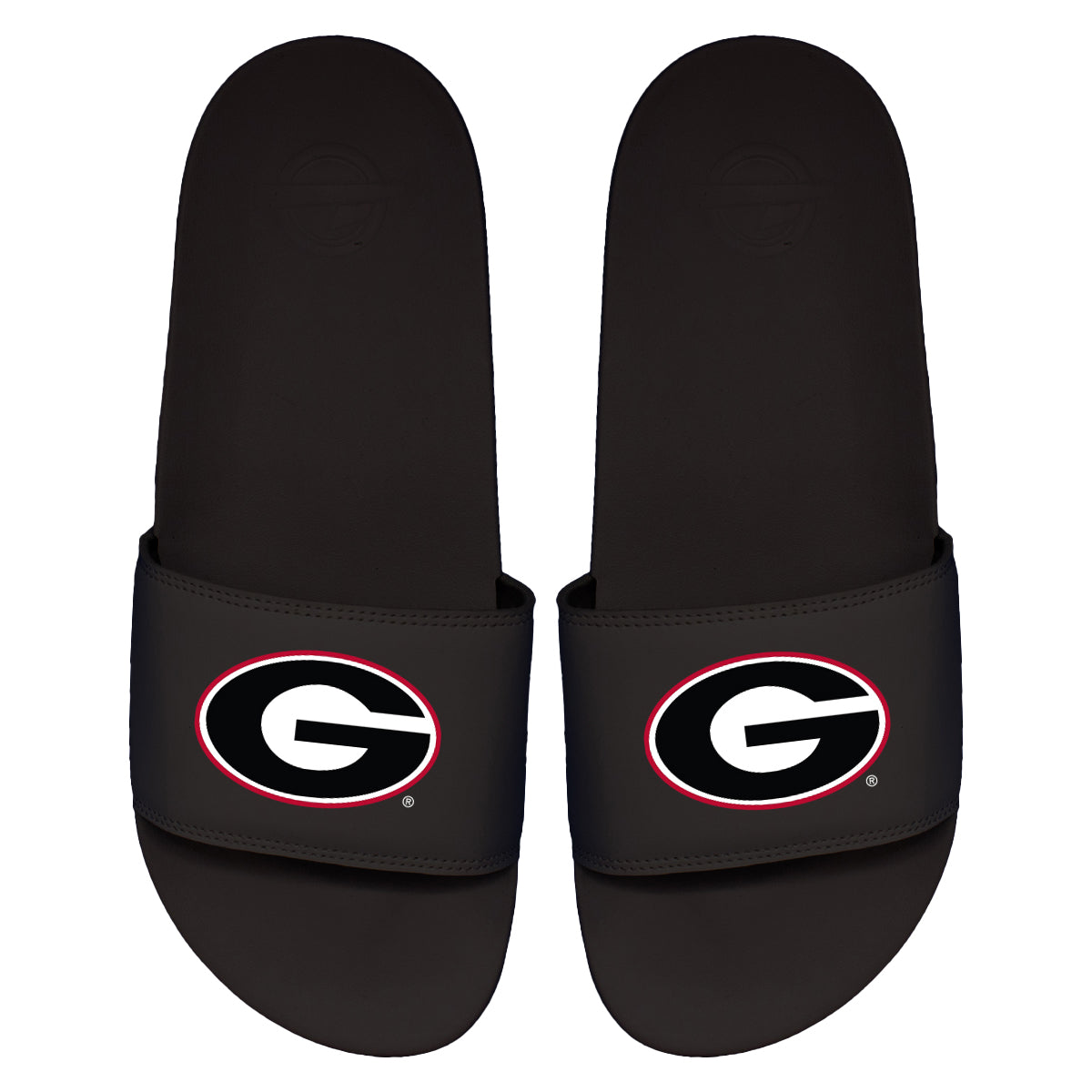 Georgia Primary Motto Slides