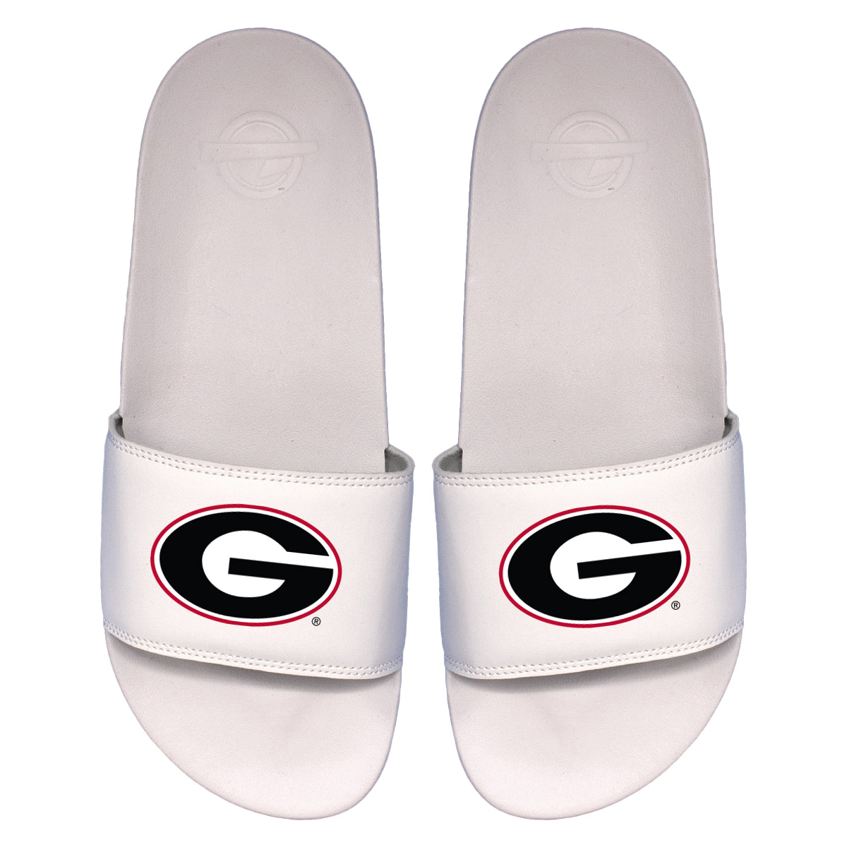 Georgia Primary Motto Slides