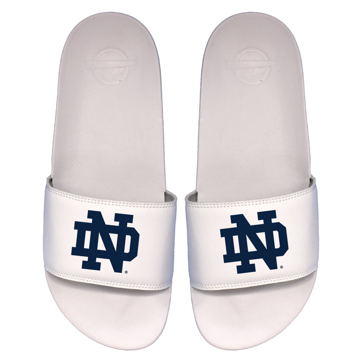 Notre Dame Primary Motto Slides