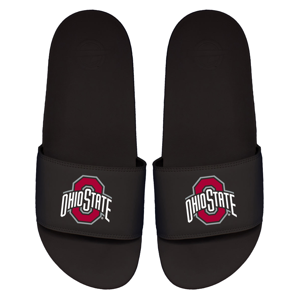 Ohio State Primary Motto Slides