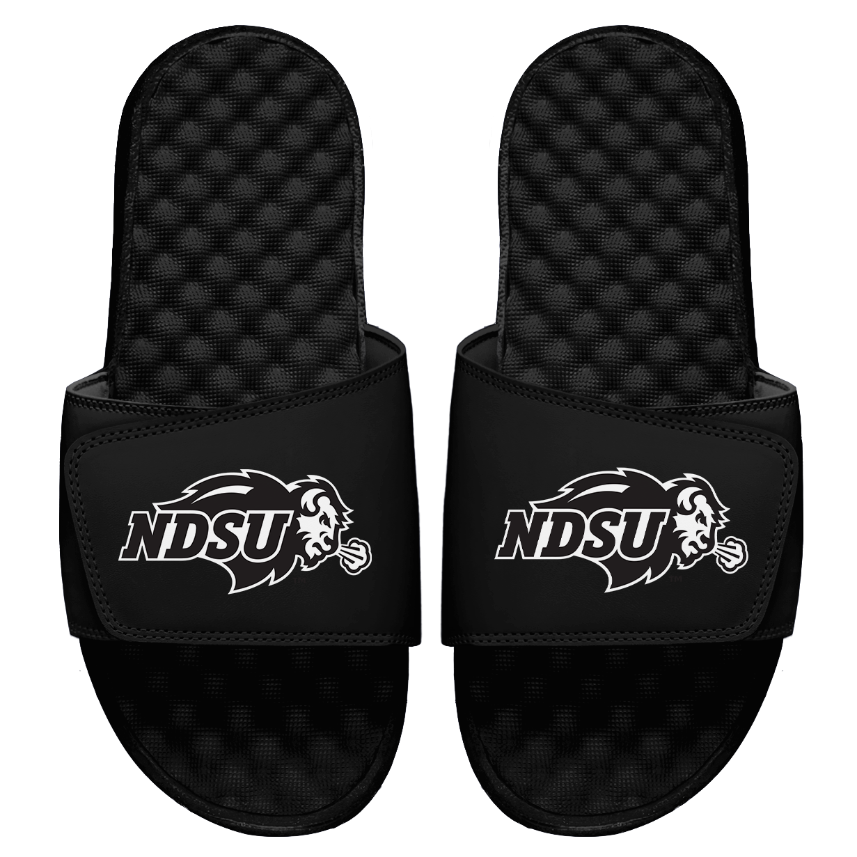 NDSU Primary BW Slides