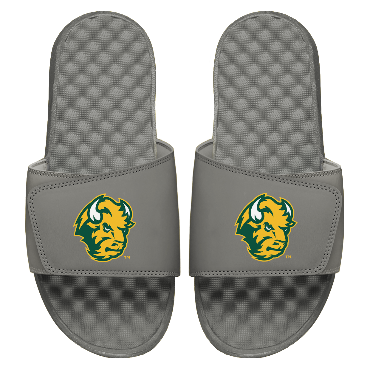 NDSU Bison Head Slides