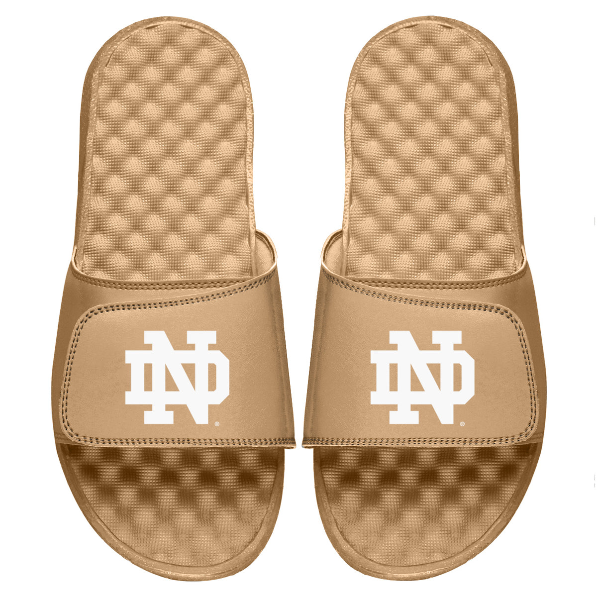 Notre Dame Fighting Irish Dune Slides