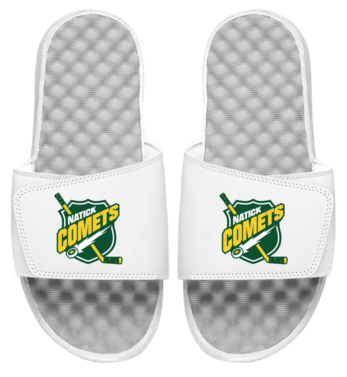 Natick Comets Slides