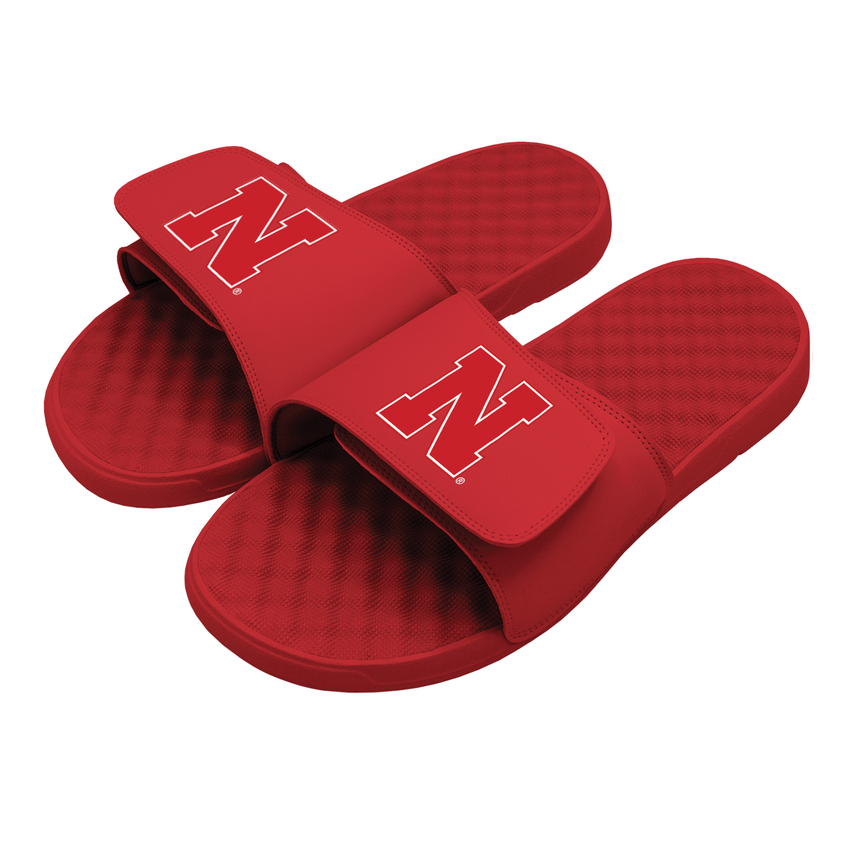 Nebaskra Primary Logo Slides
