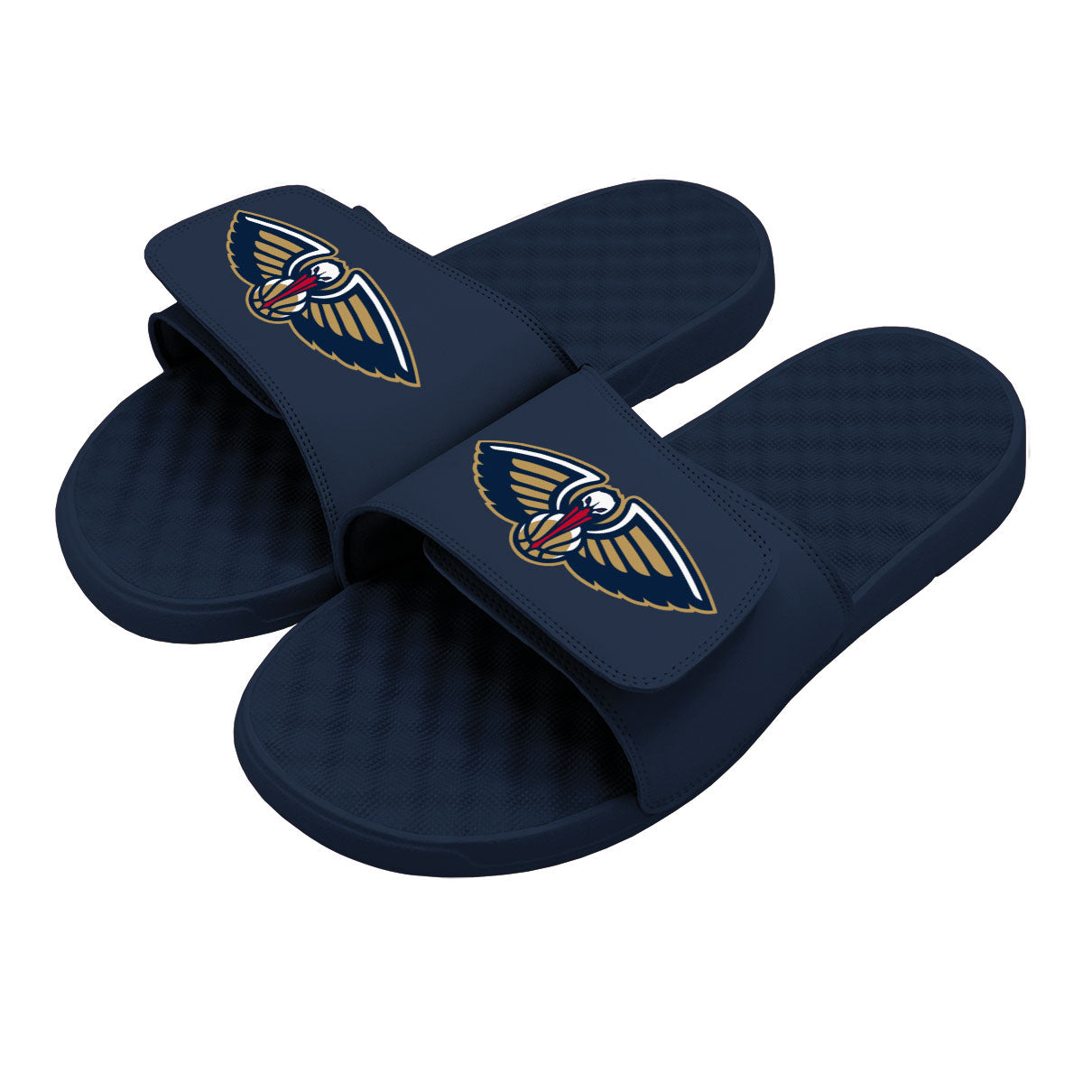 New Orleans Pelicans Primary Slides