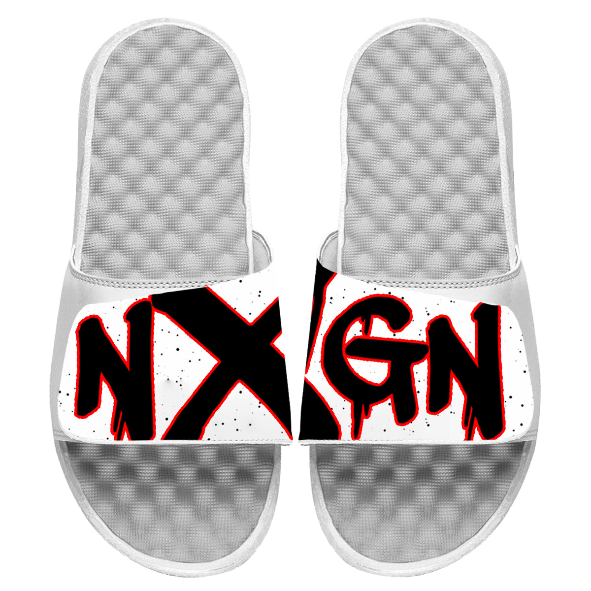 NextGen Paint Slides