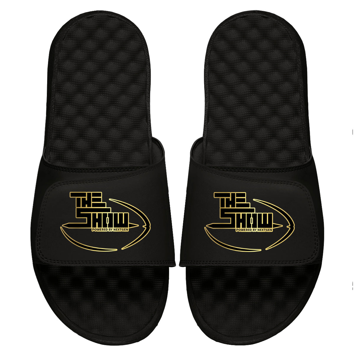 NextGen The Show Slides