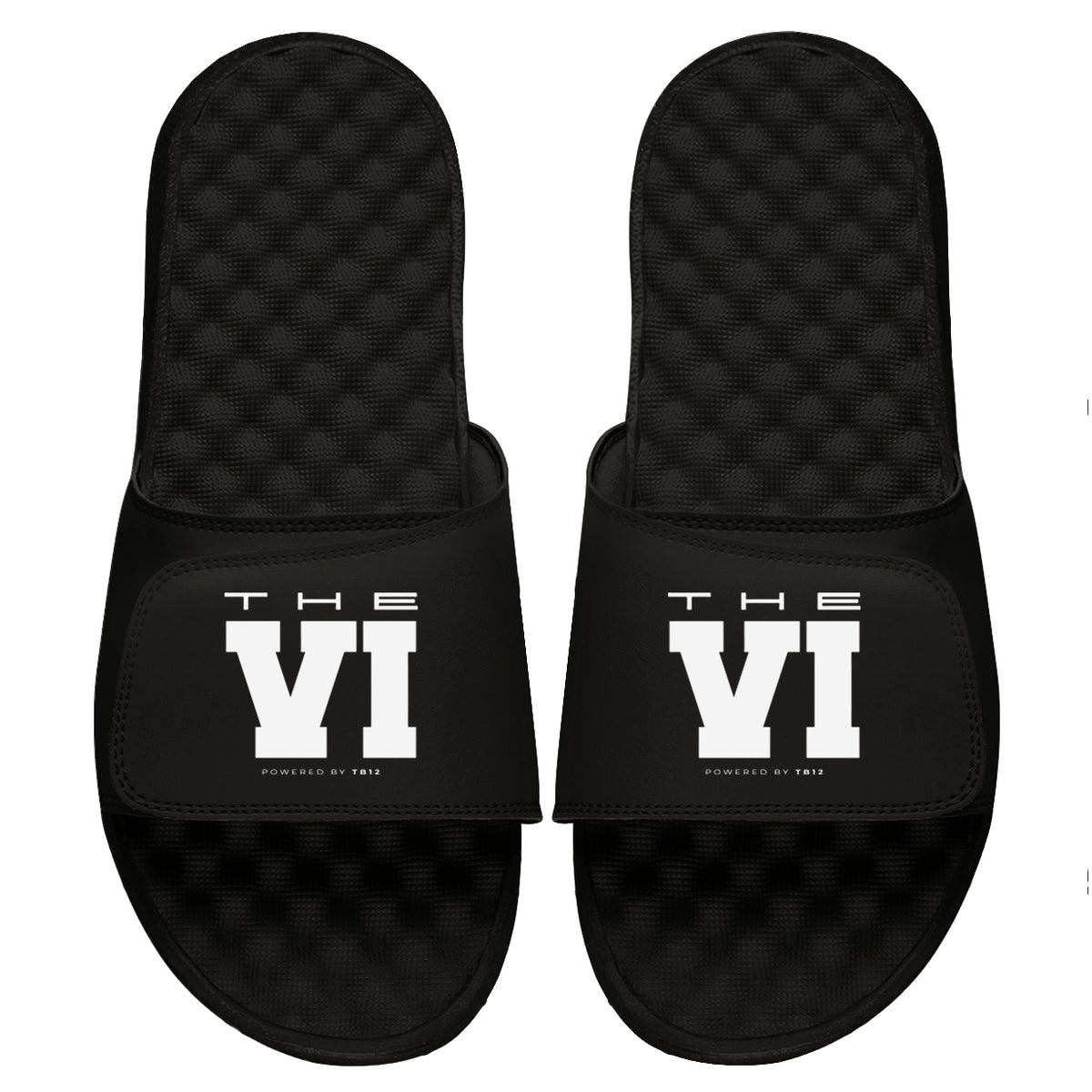 NextGen The VI Slides