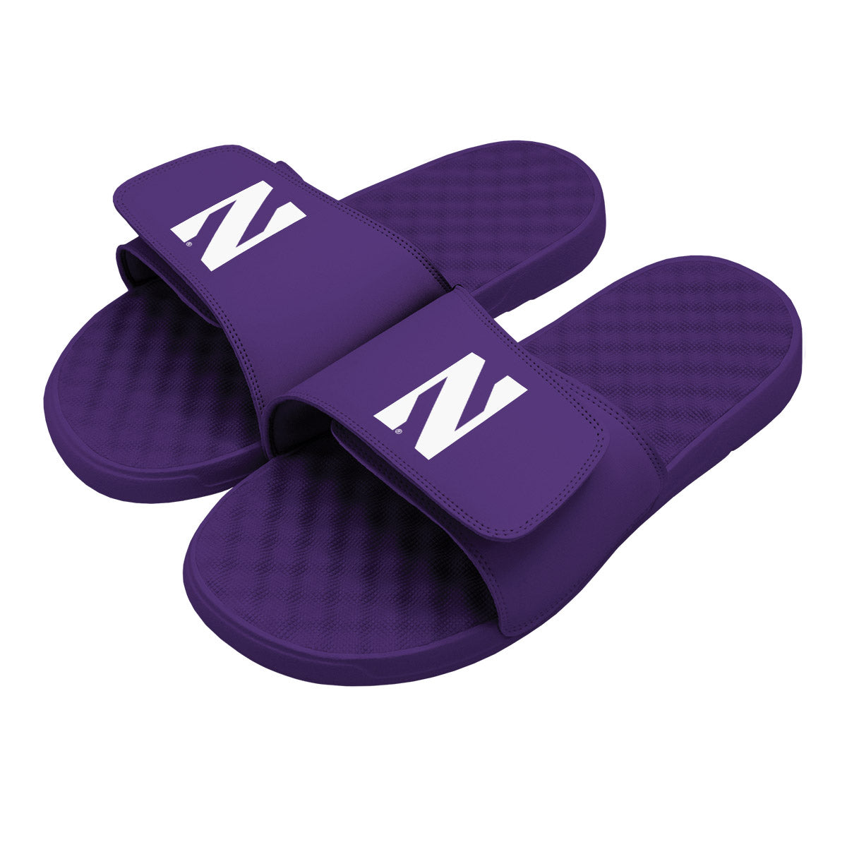 Northwestern Primary Slides
