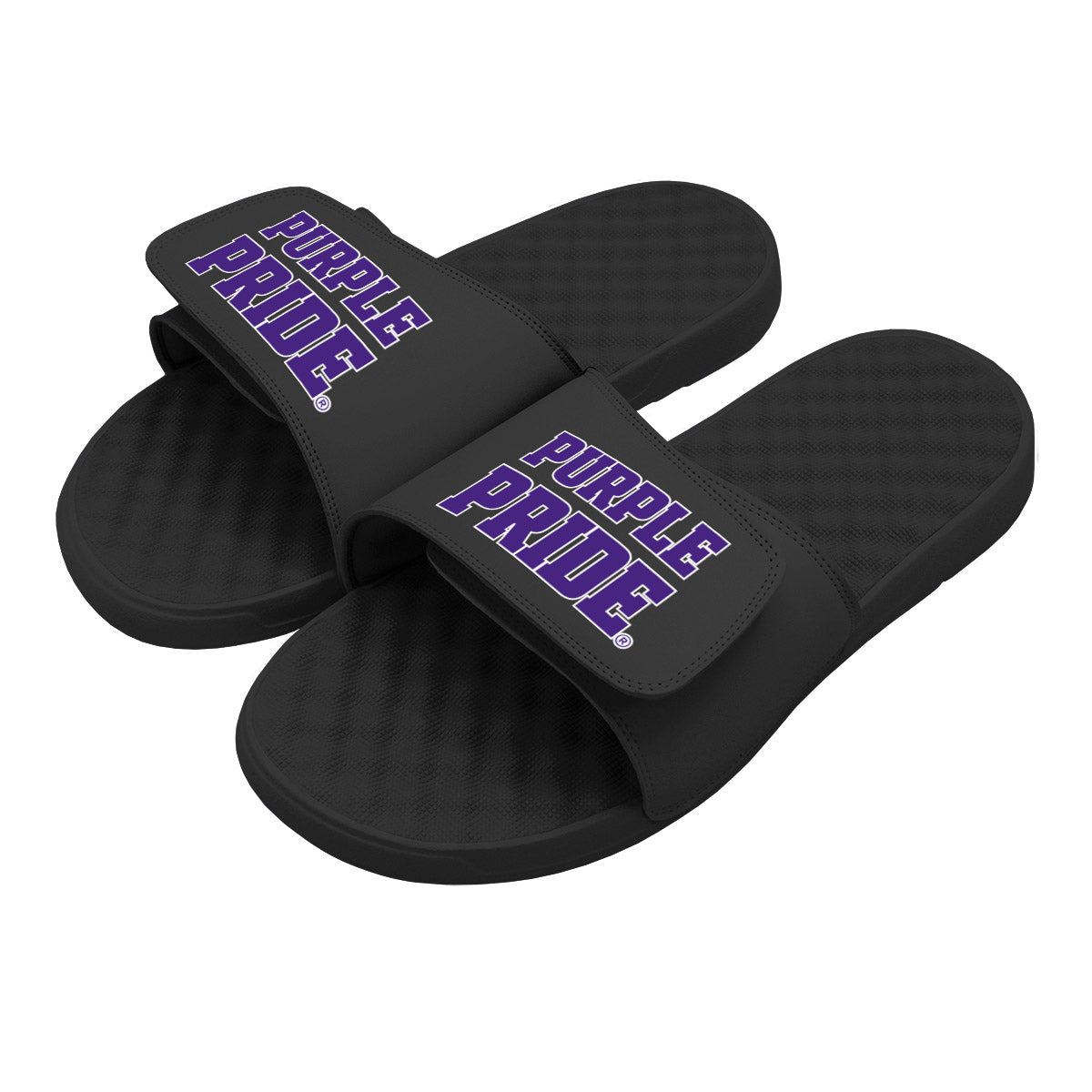 Northwestern Purple Pride Slides