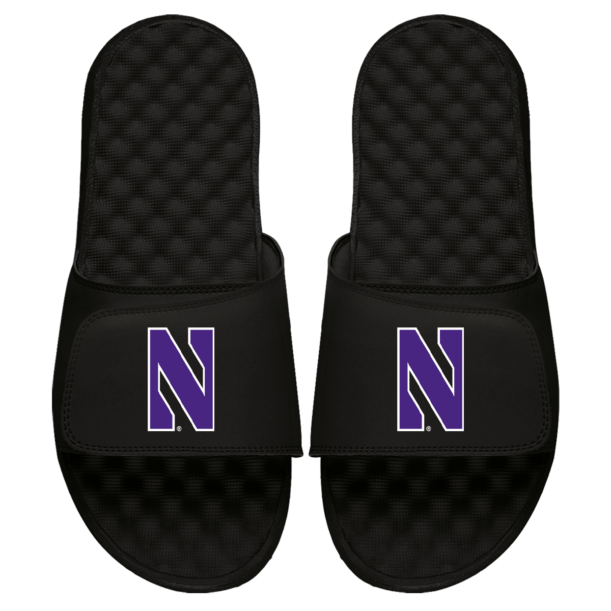 Northwestern Primary Slides