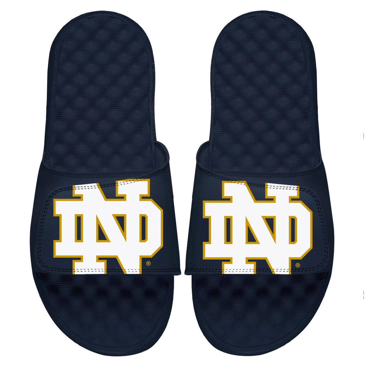Notre Dame Blown Up Slides