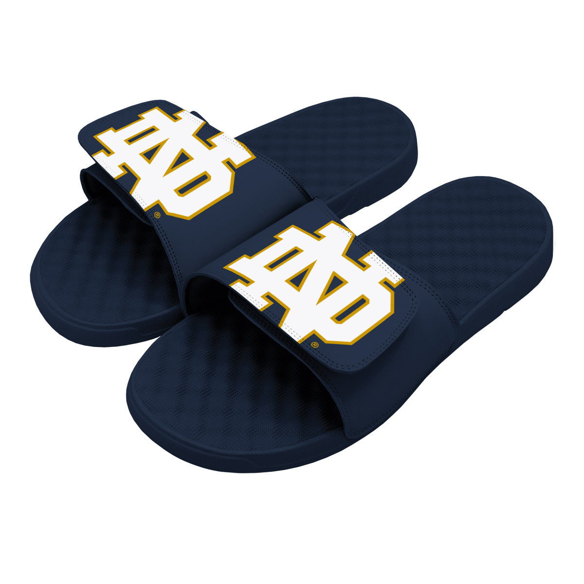 Notre Dame Blown Up Slides