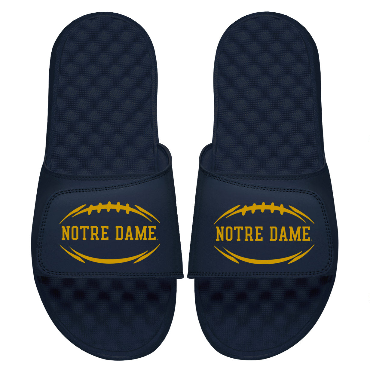 Notre Dame Football Slides