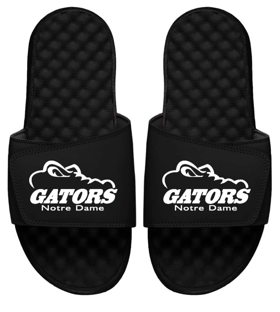 Notre Dame Gators Slides