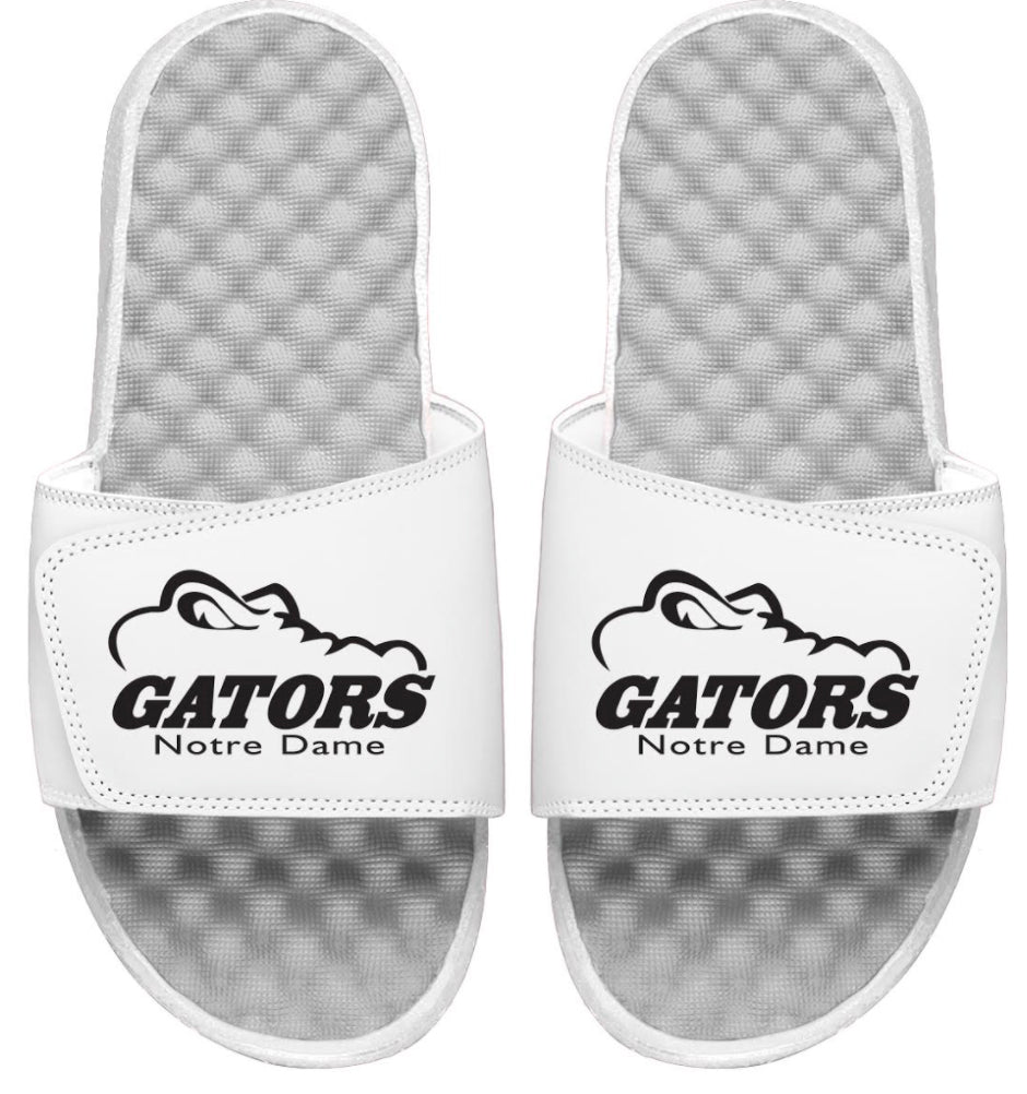 Notre Dame Gators Slides