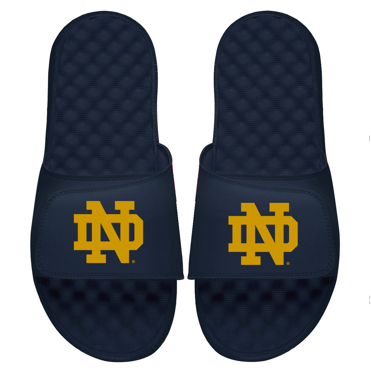 Notre Dame Primary Gold Slides