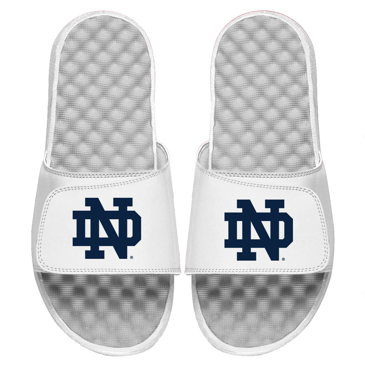 Notre Dame Primary Slides