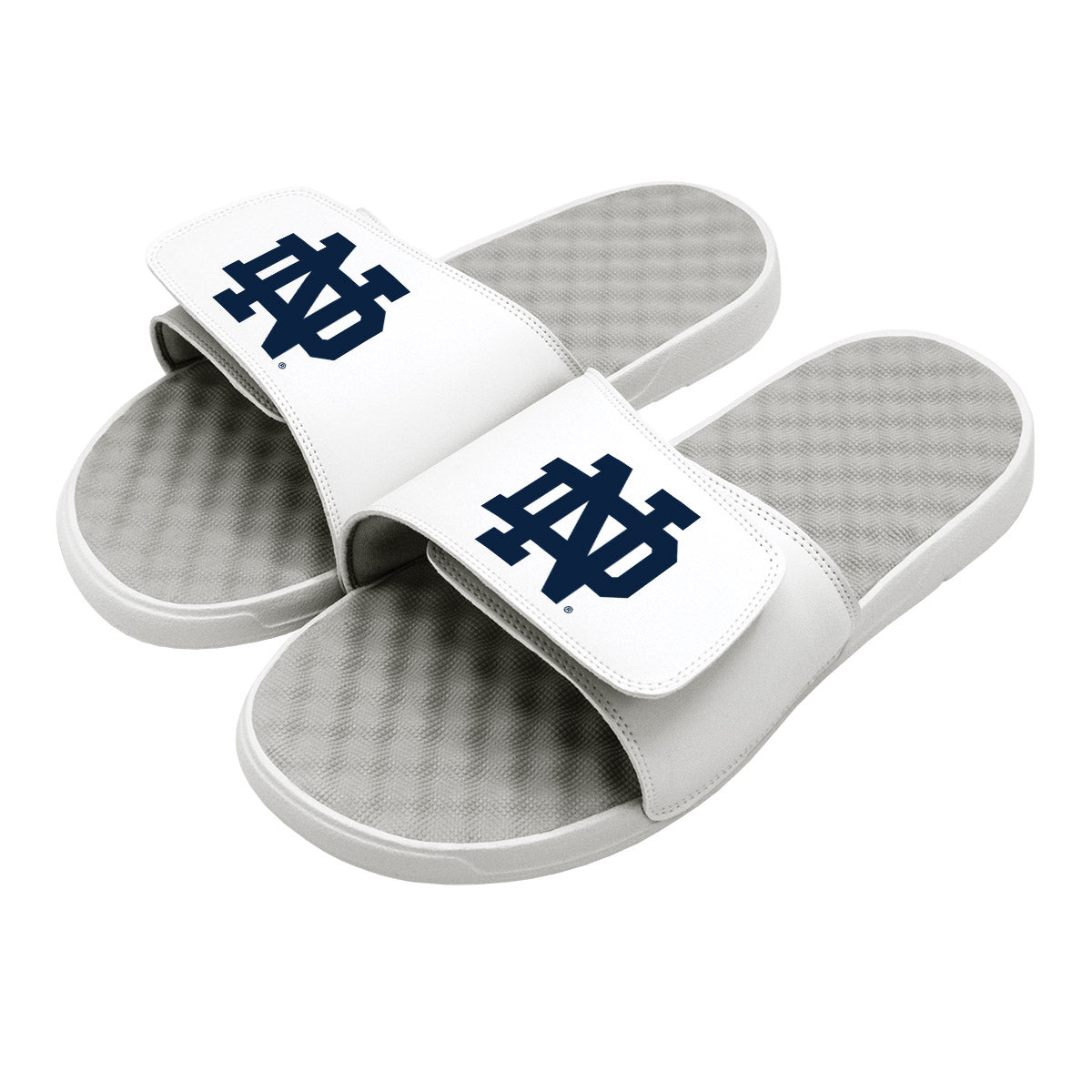 Notre Dame Primary Slides