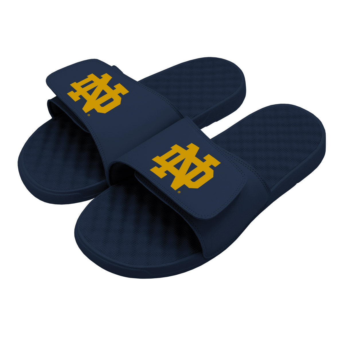 Notre Dame Primary Gold Slides