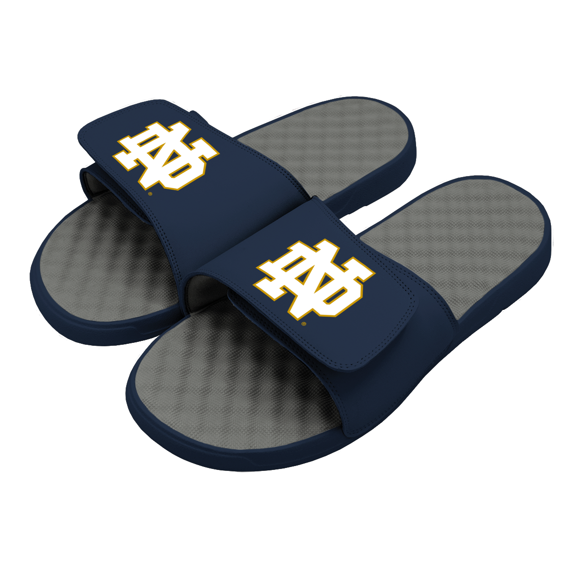 Notre Dame Primary Logo Slides