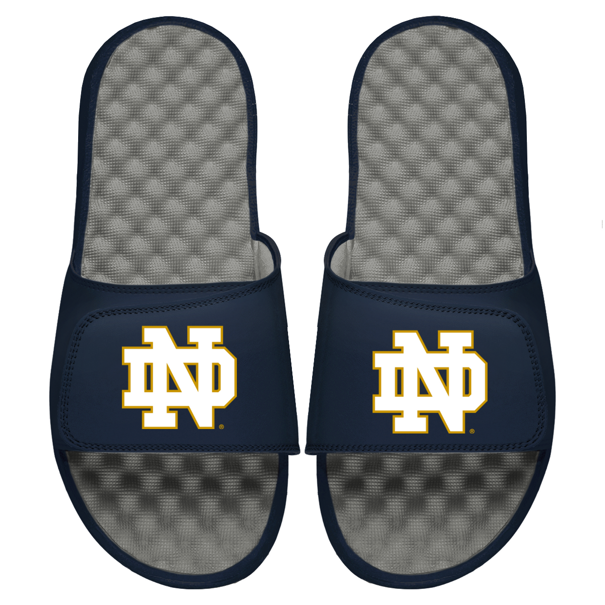 Notre Dame Primary Logo Slides