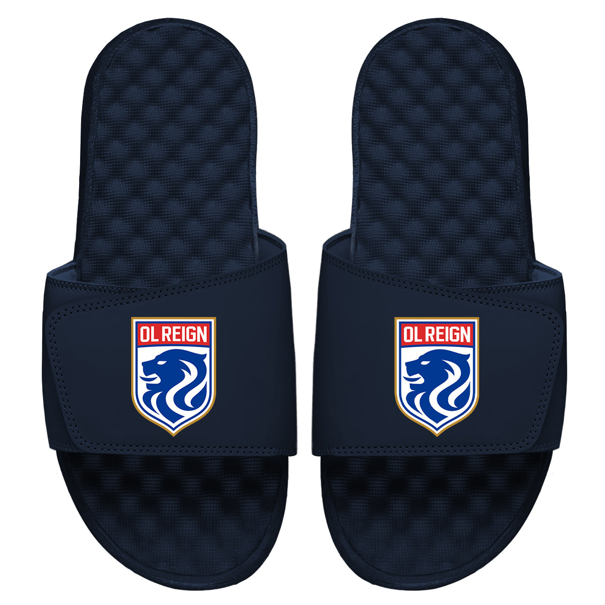 OL Reign Primary Slides