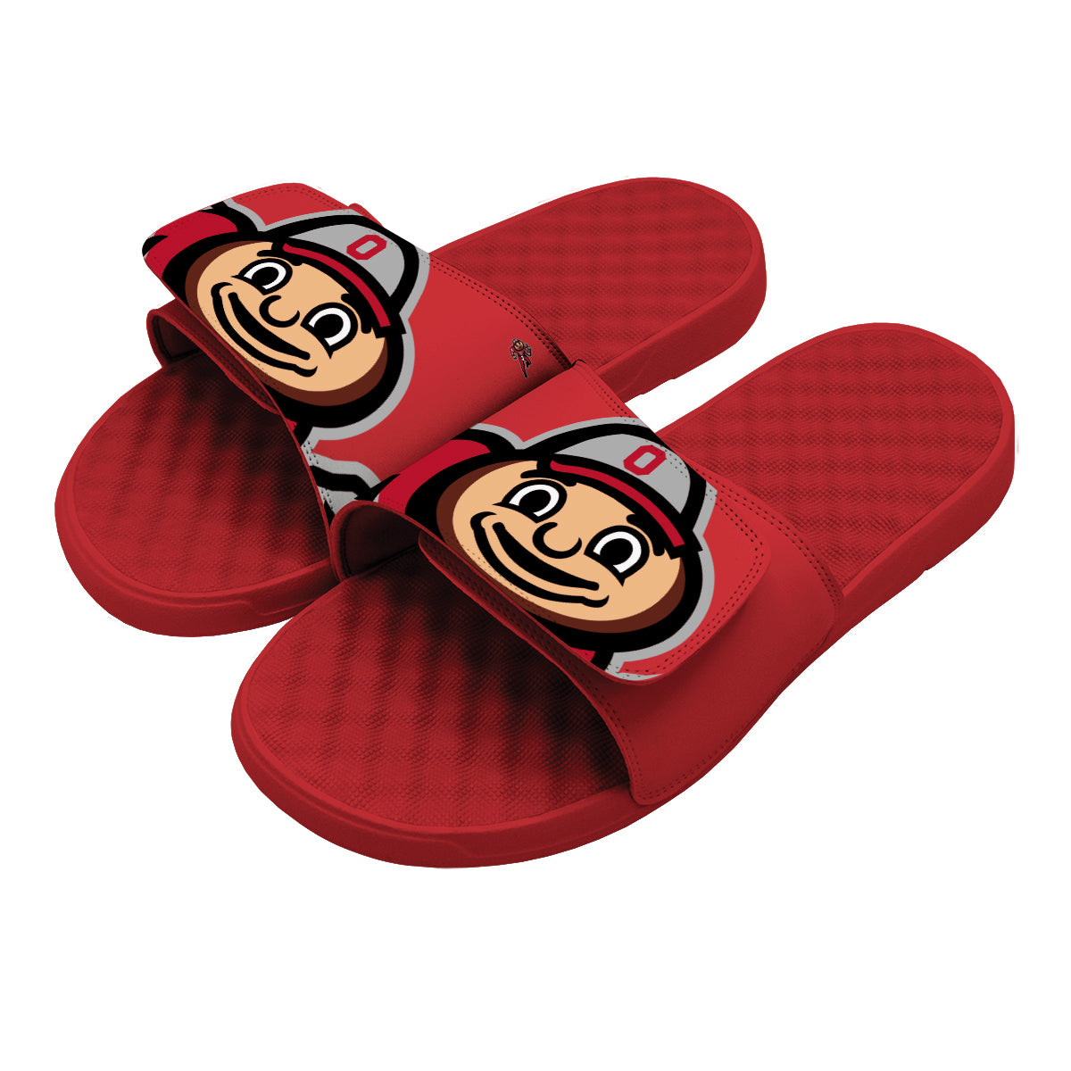 Ohio State Blown Up Mascot Slides