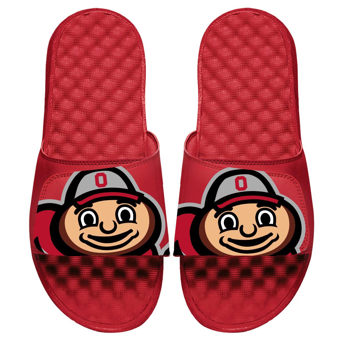 Ohio State Blown Up Mascot Slides