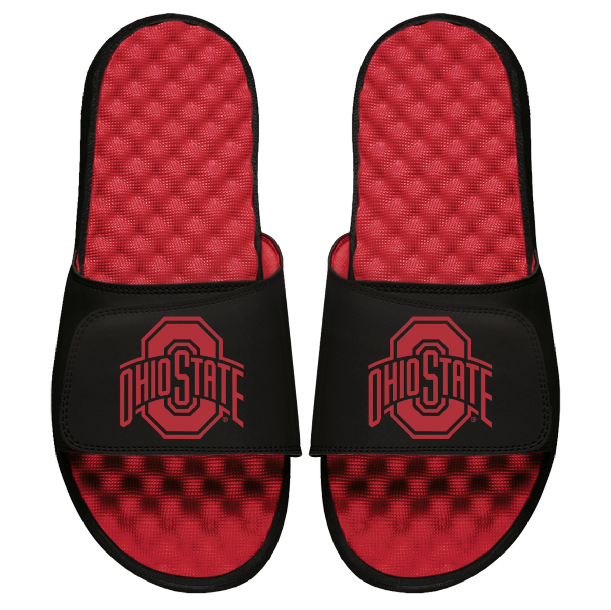 Ohio State BRED Slides