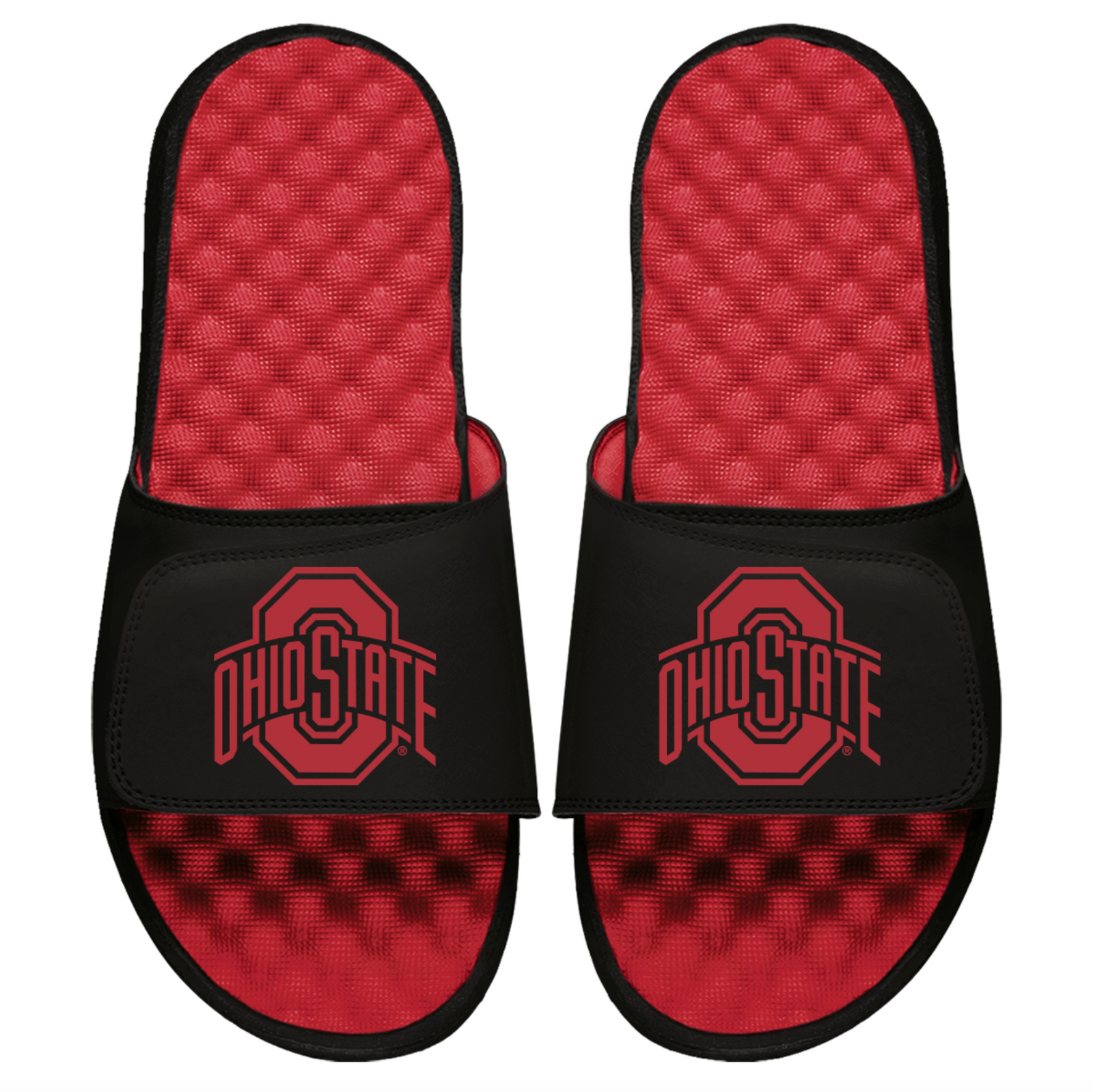 Ohio State BRED Slides
