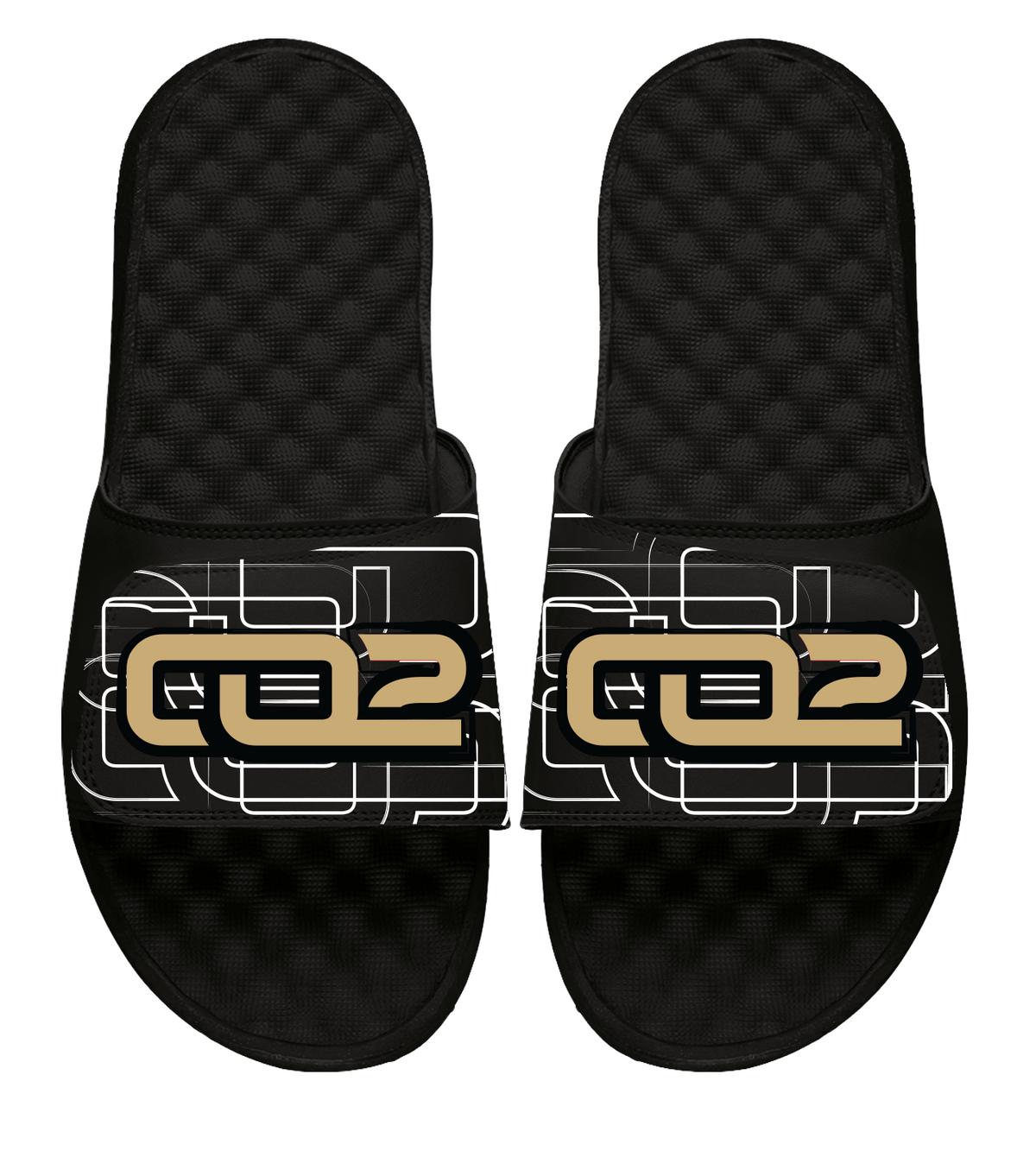 Chris Olave Primary Slides