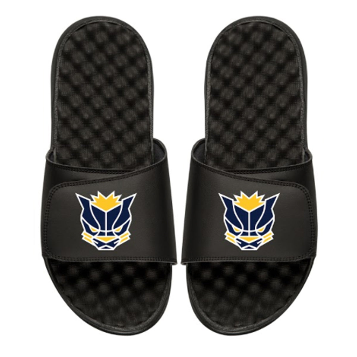 Pacers Gaming Logo Slides