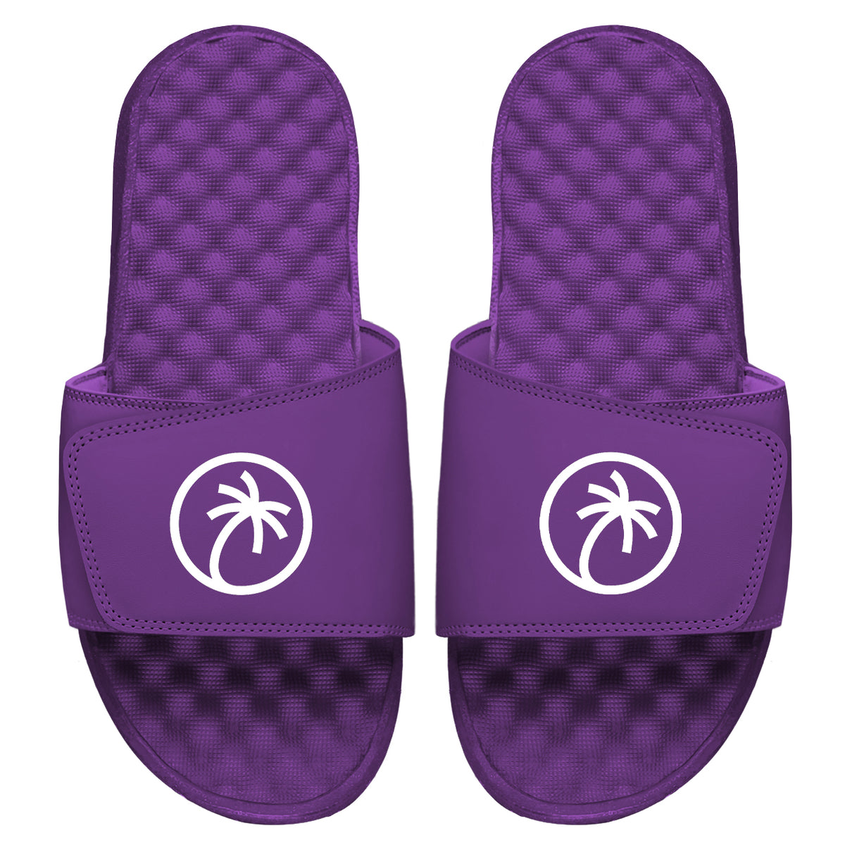 Toehold Palm Logo Purple Slides