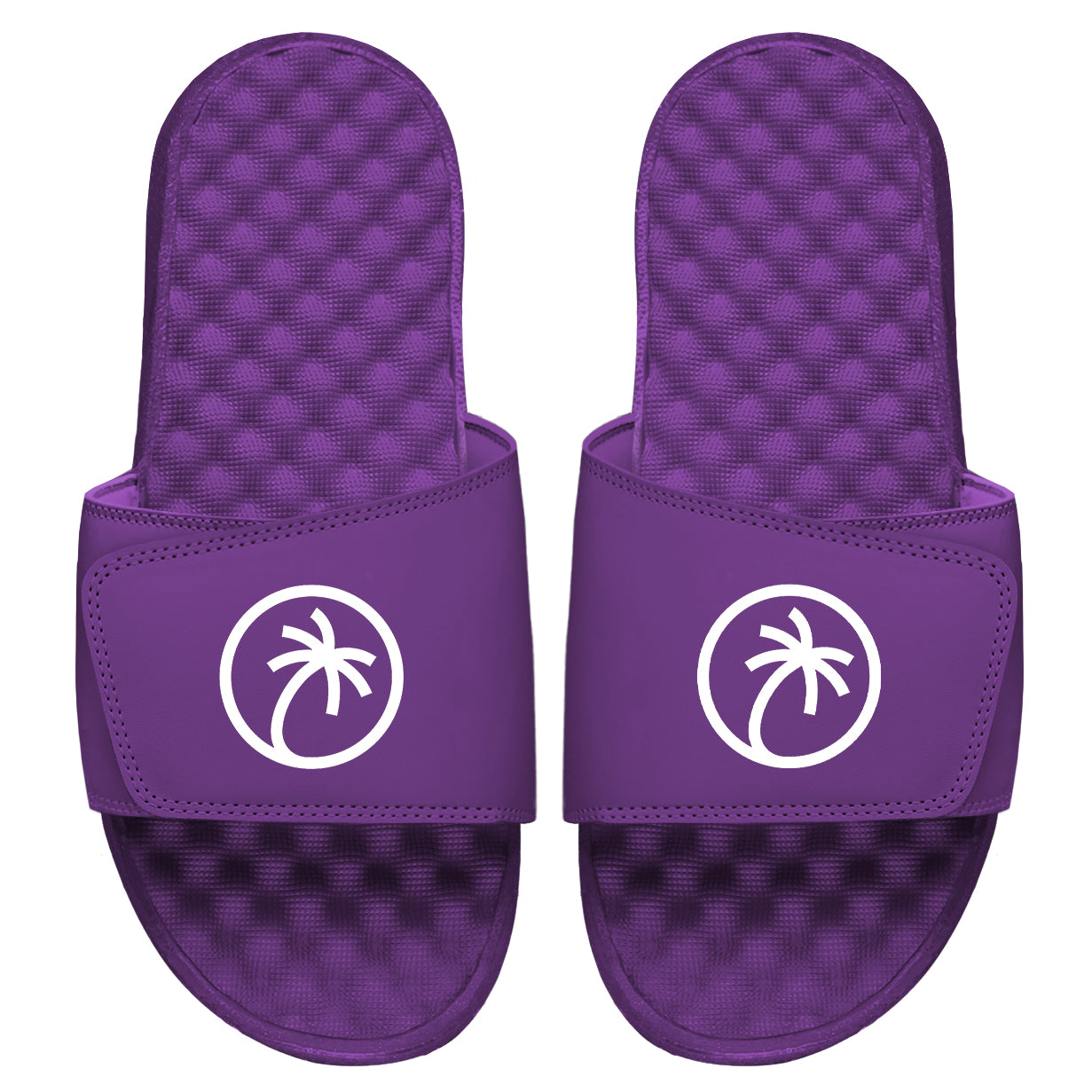 Toehold Palm Logo Purple Slides
