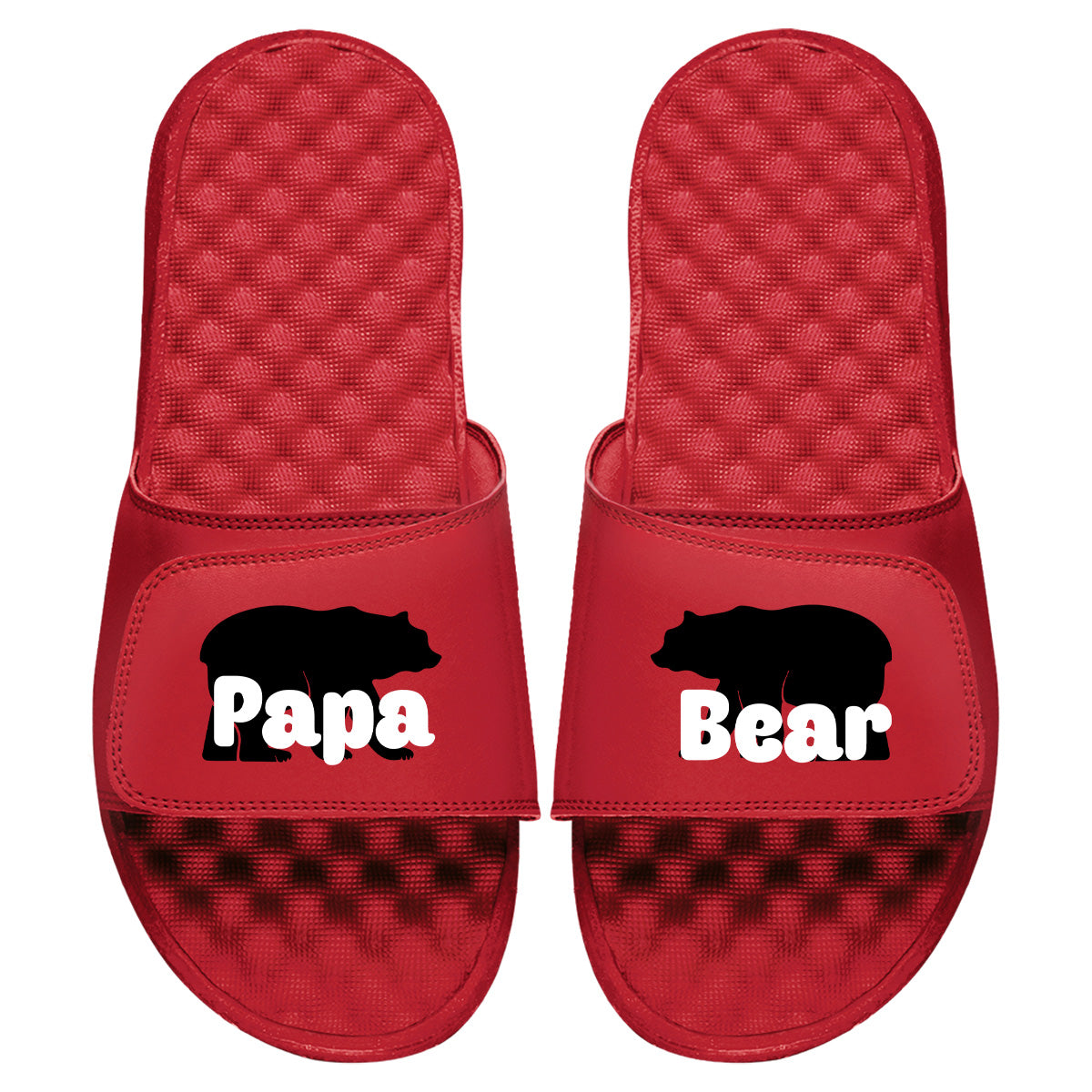 Papa Bear Slides