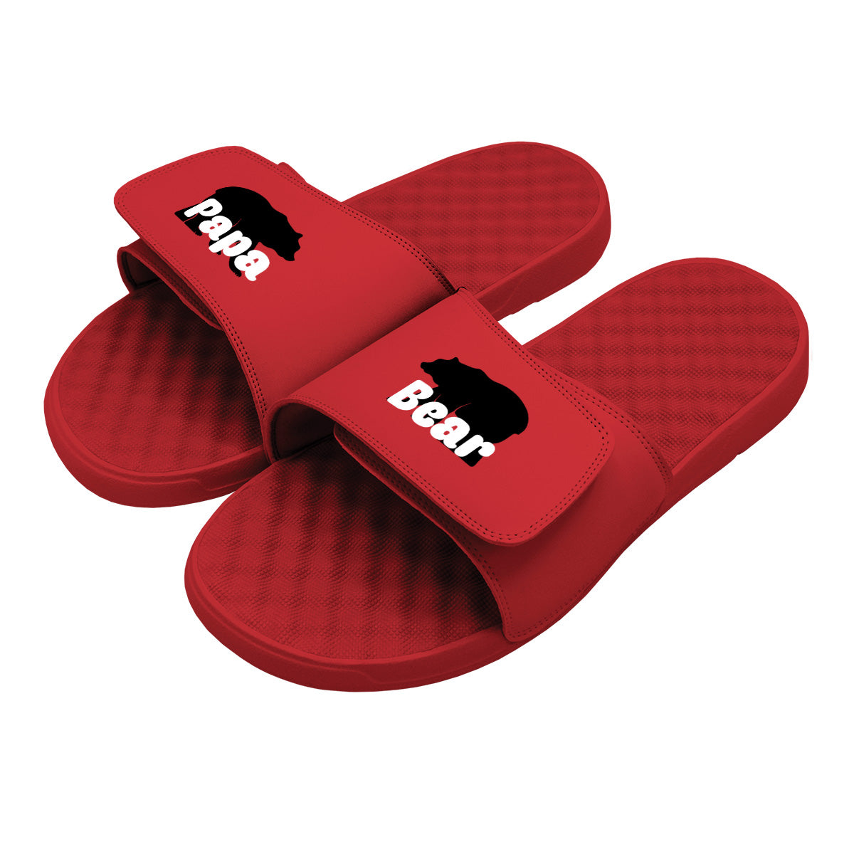 Papa Bear Slides