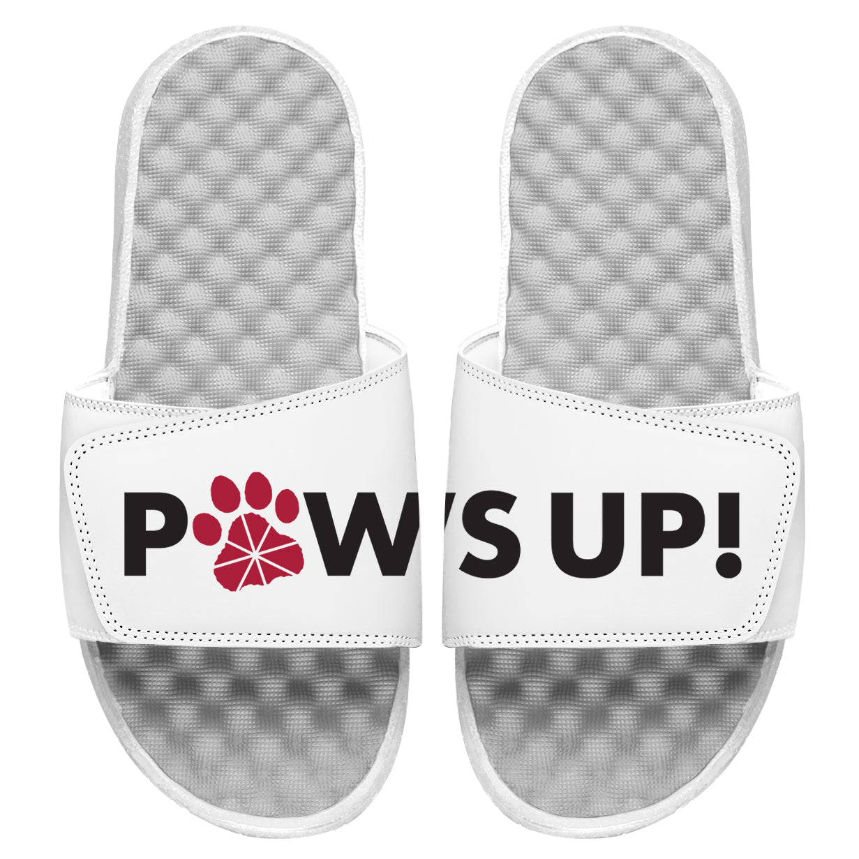 Chapman University Paws Up Split Slides